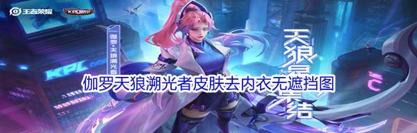 暗影主宰伽罗的出装攻略（解锁强力技能组合，征服战场！）