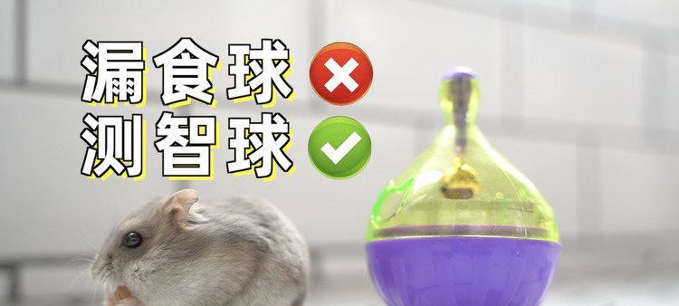 猫和老鼠手游仓鼠教学攻略