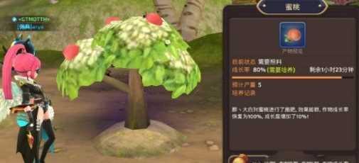 《龙之谷手游家园教学攻略》（打造最强家园，一统龙之谷）