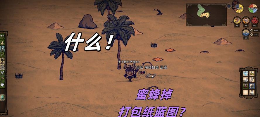 饥荒海滩攻略（一起来挑战海滩生存，成为海岛探险家吧！）