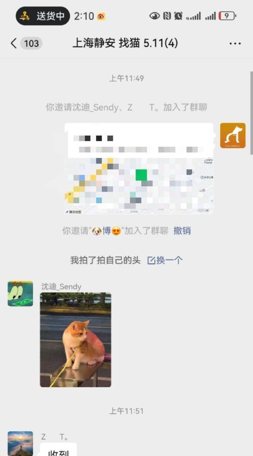 《寻猫橘子出装顺序攻略》（从草鞋到死亡之舞，让你的猫咪变身超强输出！）