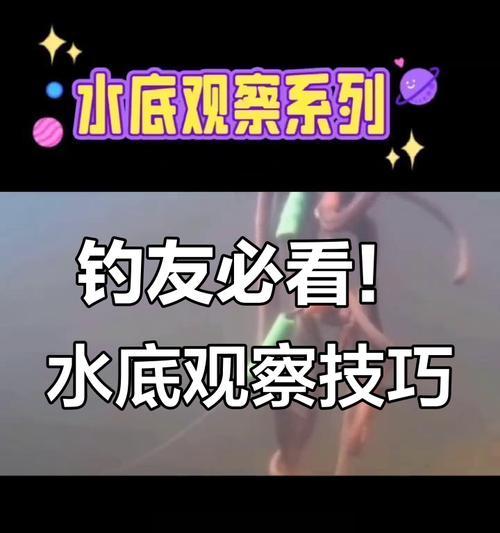 探险钓鱼游戏攻略（游戏中的鱼种分析、钓鱼技巧解析和装备推荐）