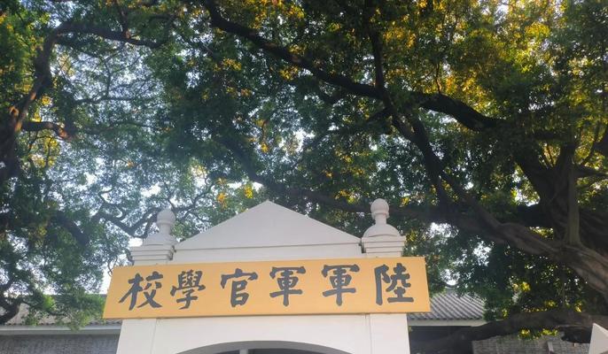 《打造最校养成游戏攻略》（掌握关键技巧，提升战斗力）