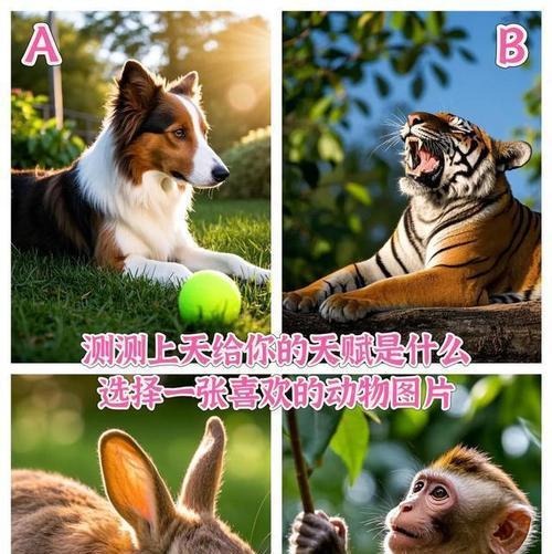 图画猜动物——挑战你的观察力和想象力！
