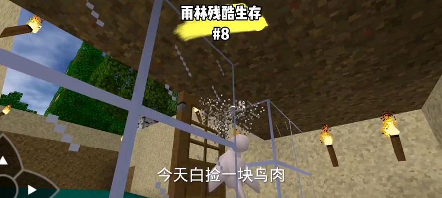 探索雨林（进入密林世界，化身求生高手，）