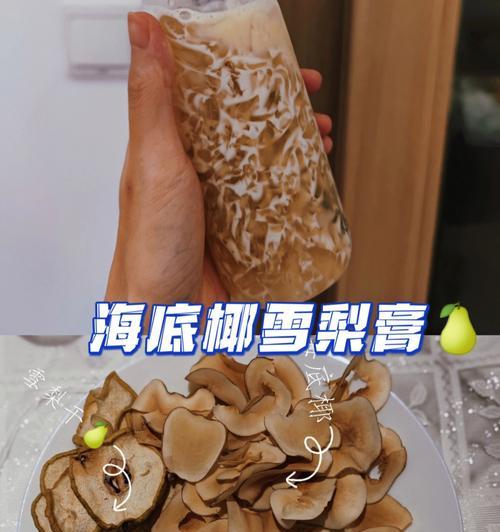 雪梨辅助教程出装攻略最新（揭秘雪梨辅助的最佳装备选择和技巧）