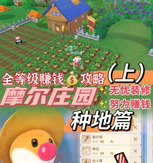 情侣小屋种地经营游戏攻略（精心耕种，爱的结晶一起收获）