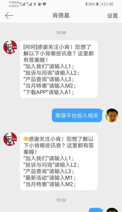 《探寻幻想之都的黑猫游戏攻略》（用智慧与勇气，解谜征服幻想之都的黑猫世界）